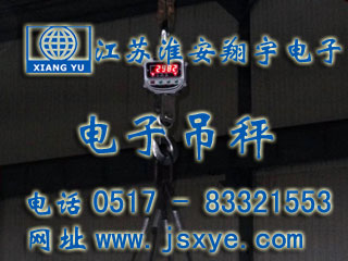 江蘇井神鹽業(yè)電子吊秤 - 電子吊秤廠家江蘇淮安翔宇電子吊秤案例