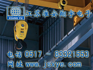 起重限制保護系統(tǒng)廠家江蘇淮安翔宇電子測控自動化起重機超載限制器 起重超載限制器保護系統(tǒng)安全可靠堅固耐用 更多起重機起重限制器就在www.footweartaxi.com 電話0517-83321553