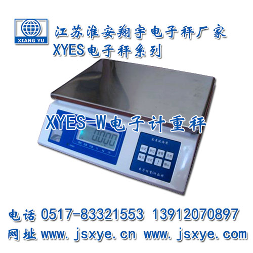 計(jì)重秤,計(jì)重秤廠家,江蘇計(jì)重秤,淮安計(jì)重秤,電子秤,電子秤廠家,XYES